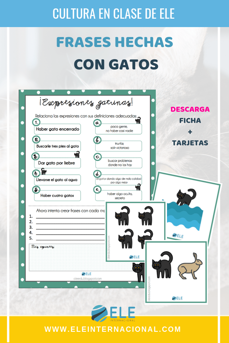 Frases hechas con gatos en español para clases de ELE. #vocabulary #spanishteacher