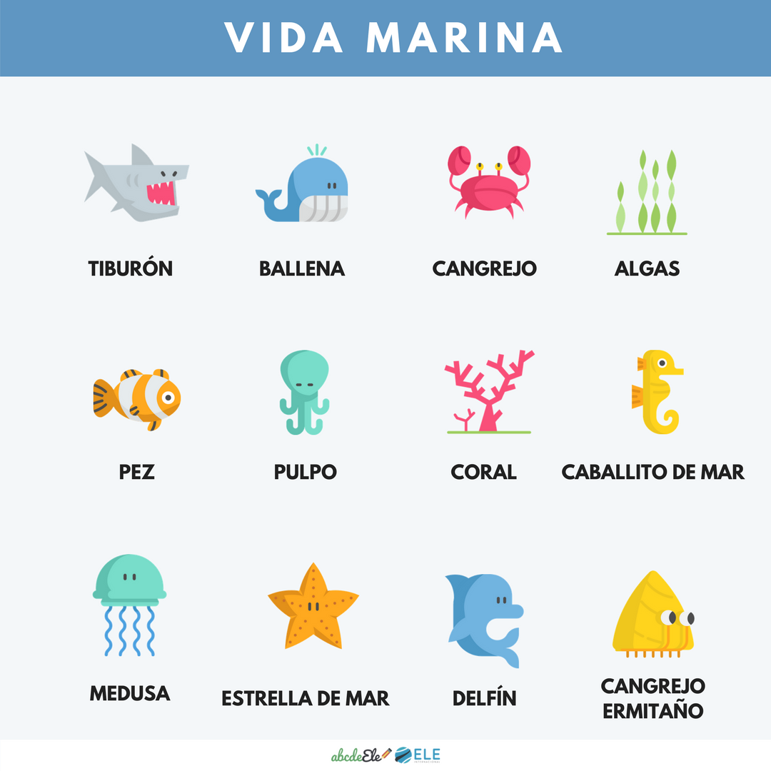 Pósteres vocabulario clase de ELE. Vocabulario animales ELE. Spanish animals vocabulary. #spanishteacher #profedeele