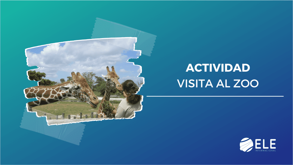 Visita al zoo