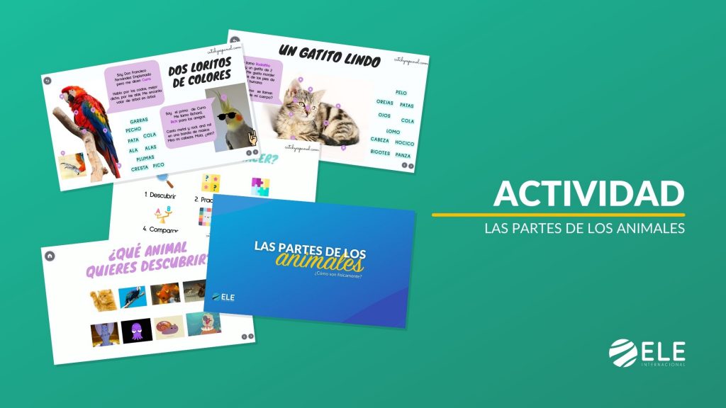 Actividad las partes de los animales