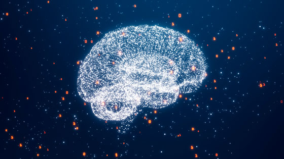 Cerebro