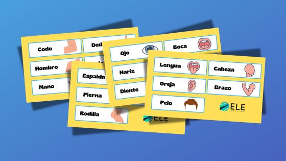 Flashcards sobre las partes del cuerpo en español