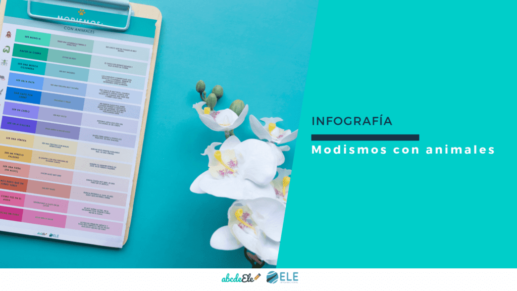 Modismos con animales en clases de español. Una infografía para enseñar a tus alumnos a usar expresiones divertidas. #spanishteacher #infografía #modismo