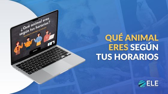 ¿Qué animal eres según tus horarios?