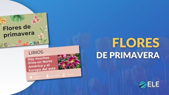 Tipos de flores para celebrar la llegada de la primavera